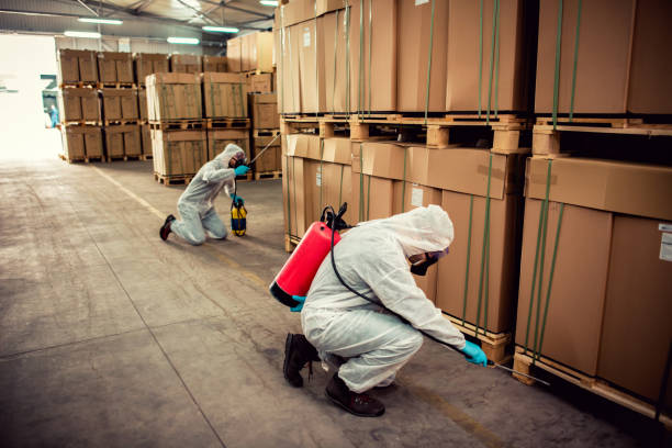 Best Termite Control Services  in Clifton Springs, NY