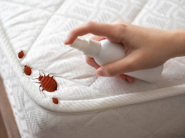Best Pest Inspection Near Me  in Clifton Springs, NY