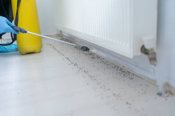 Best Wildlife Control Services  in Clifton Springs, NY
