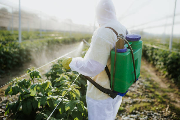Pest Prevention Services in Clifton Springs, NY